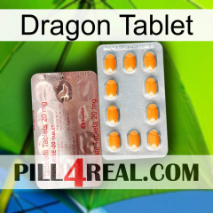 Dragon Tablet new13